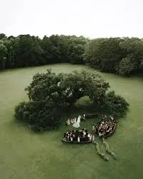 Best Drones for Wedding Photography in India